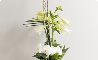 Fleurissement d’accueil