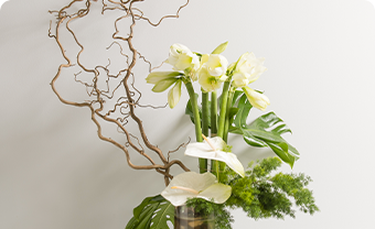 Fleurissement d’accueil