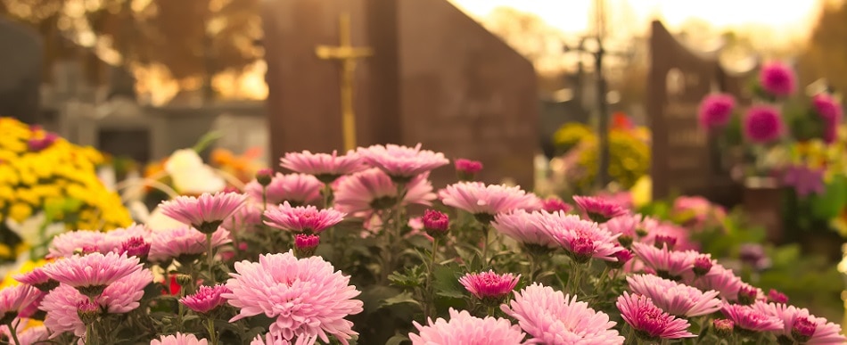Comment entretenir les fleurs sur la tombe ?