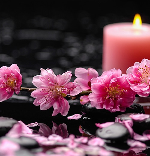 Choisir des fleurs pour un deuil : guide et conseils