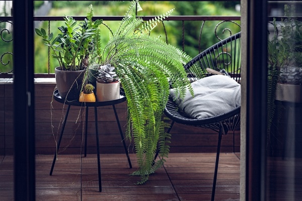 Petite terrasse à l'ombre avec plantes posées sur une table basse