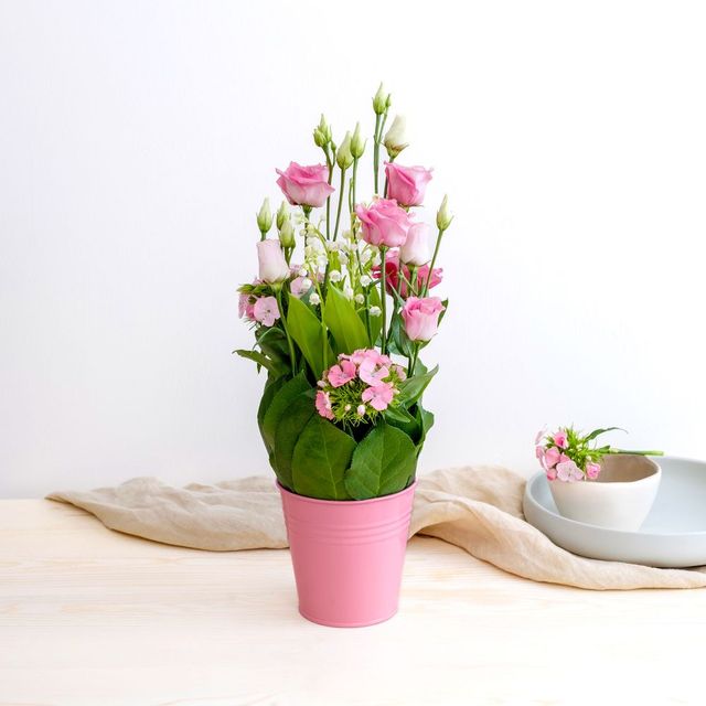 Bonne étoile et son petit pot de muguet