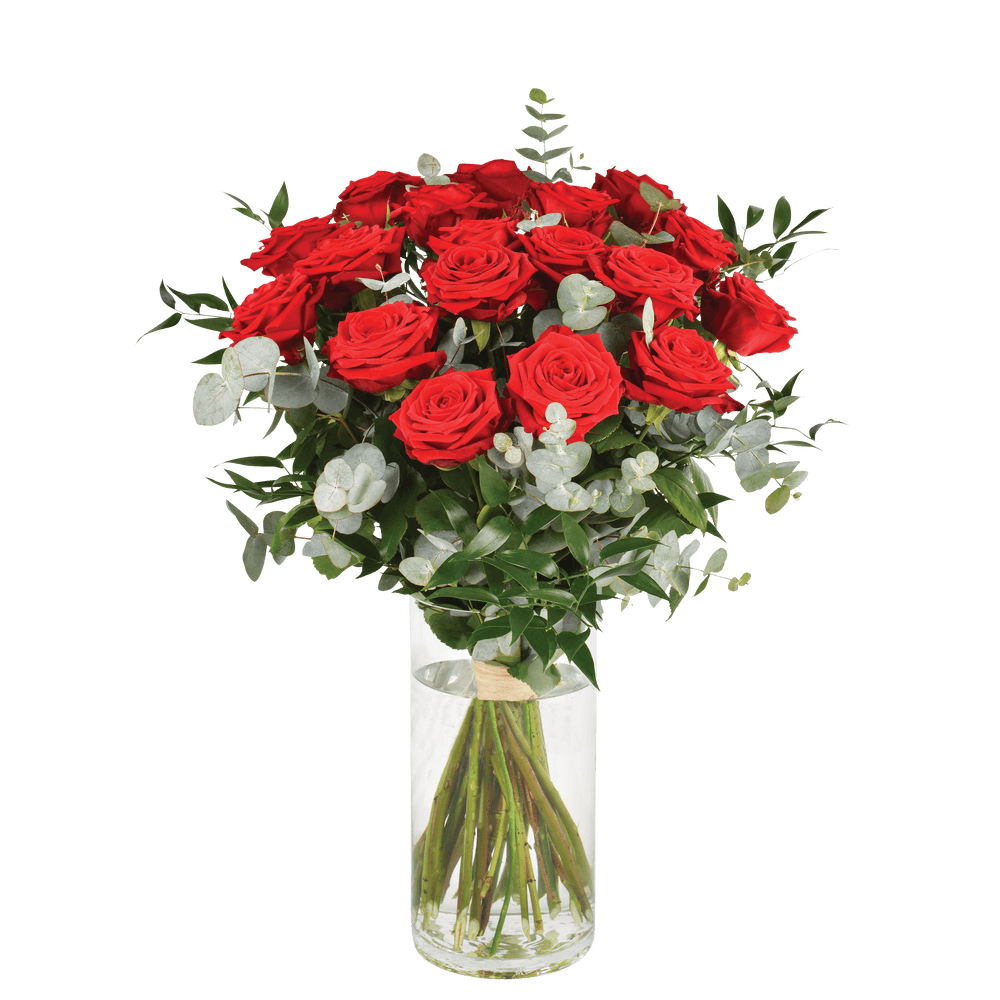 Interflora Roses Potted Passion | Interflora - Livraison roses rouges longues tiges