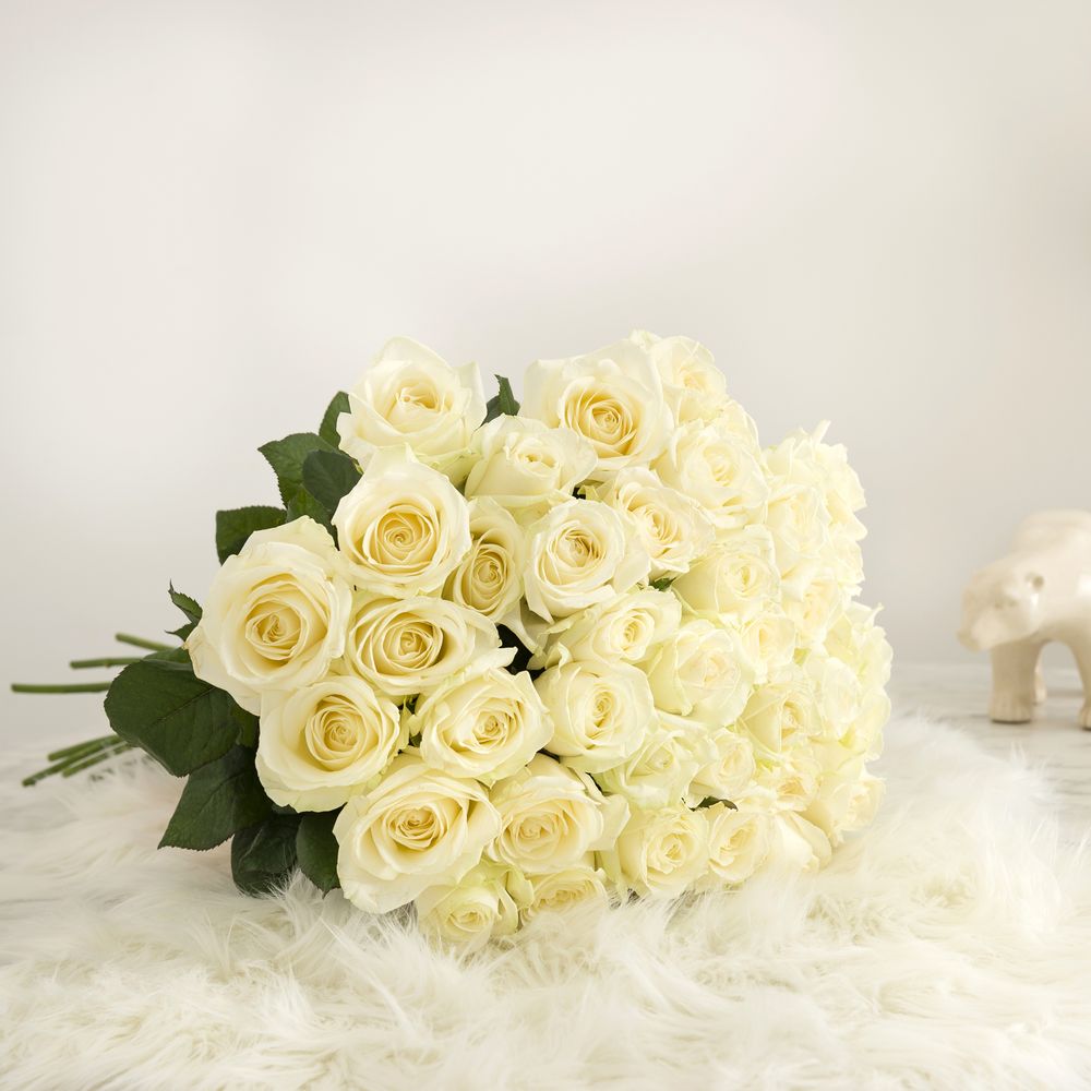 Pure sensation | Interflora | Livraison 10 à 100 roses blanches
