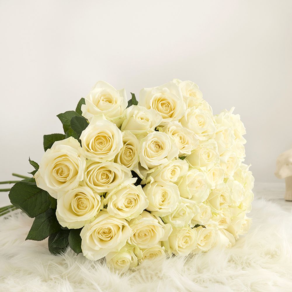 Pure sensation | Interflora | Livraison 10 à 100 roses blanches