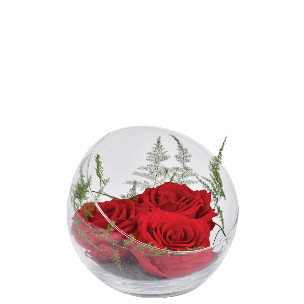 Rouge Eternel : roses rouges stabilisées dans un vase | Interflora