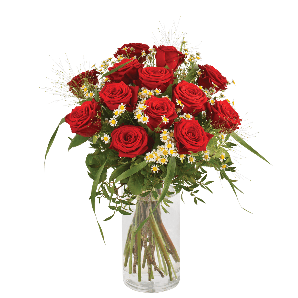 Arrangement Roses Rouges En Longueur Rouge Idylle : bouquet de roses rouges longues tiges | Interflora