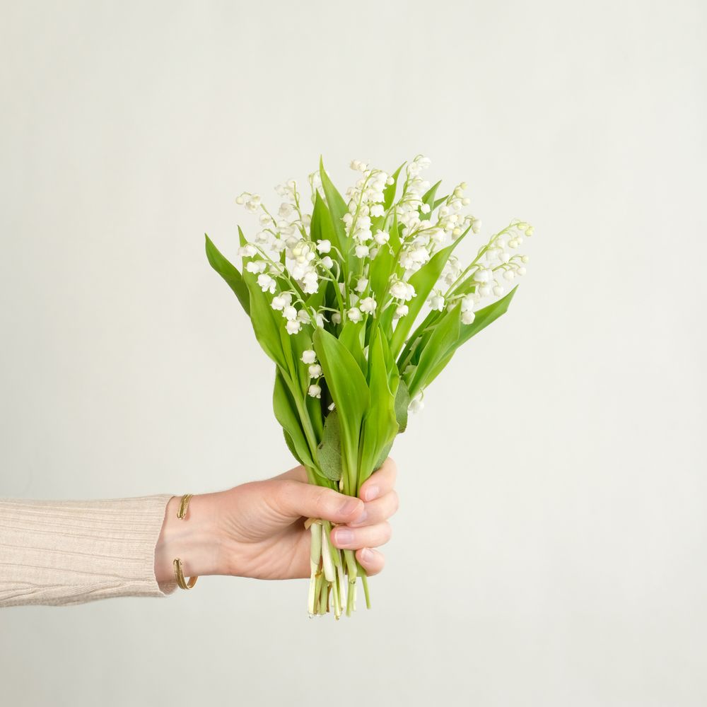 Bouquet de brins de muguet | Collection 1er mai | Interflora | Livraison  muguet