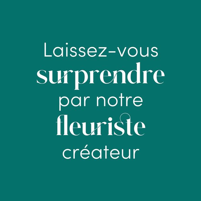 La plante fleurie du fleuriste