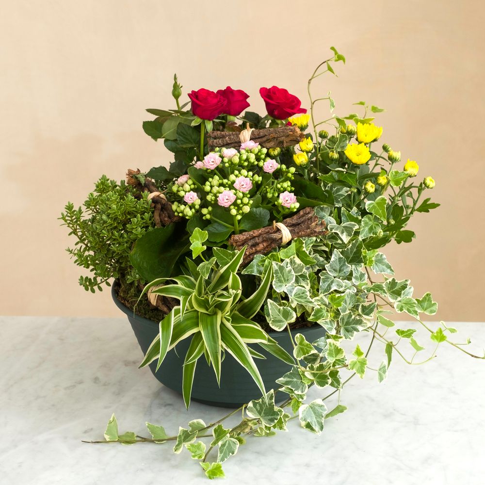 Orée | Interflora | Livraison fleurs deuil | Coupe de plantes