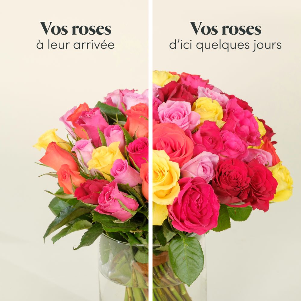Roses multicolores & Bonne Maman