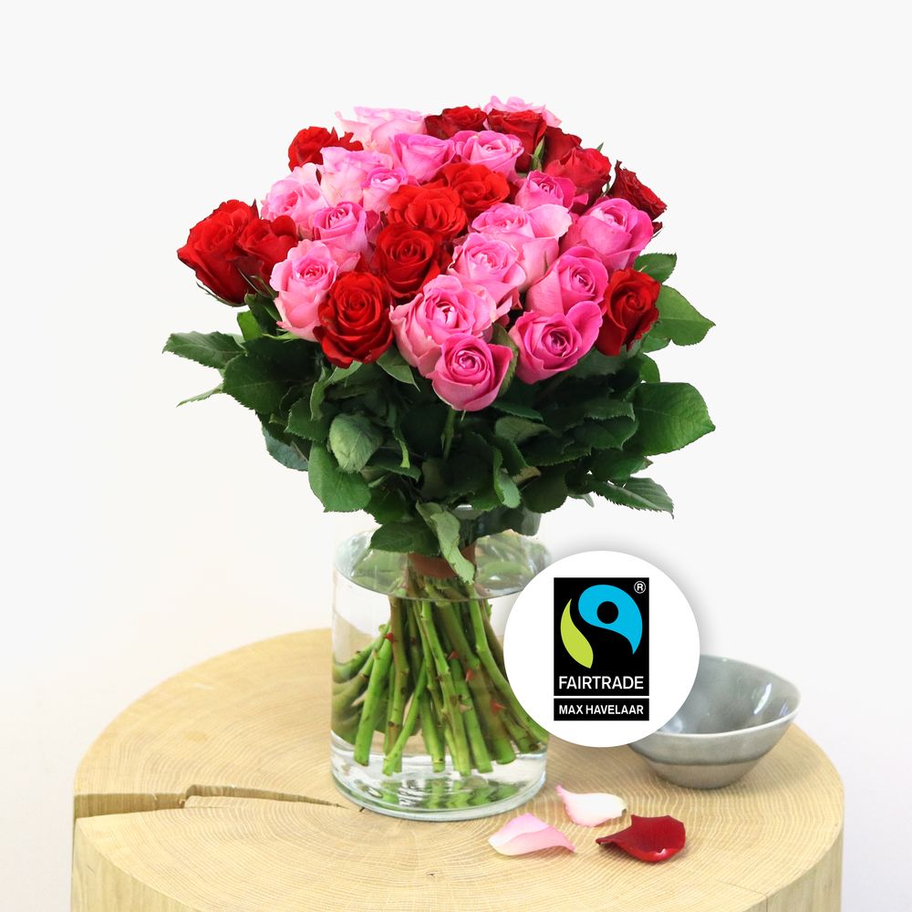 Brassée de roses rouges et roses Max Havelaar | Interflora | Livraison de  fleurs