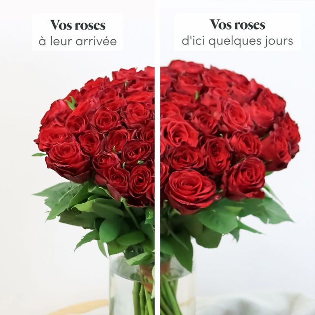 Brassée de roses rouges Max Havelaar