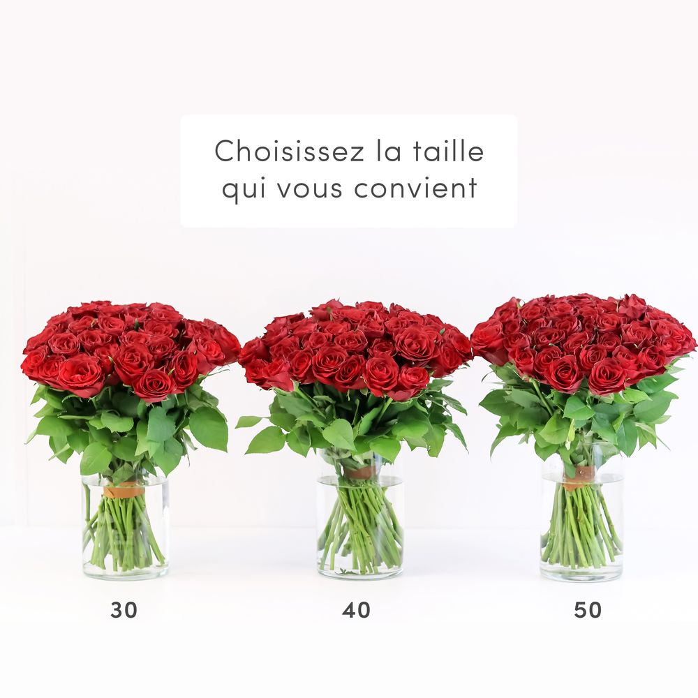 Brassée de roses rouges Max Havelaar | Interflora | Livraison roses