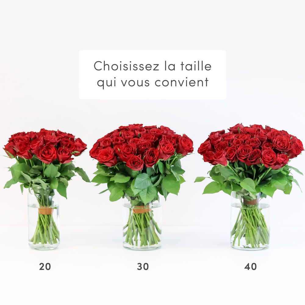 Interflora Roses Potted Brassée de roses rouges & ses chocolats | Interflora | Livraison roses