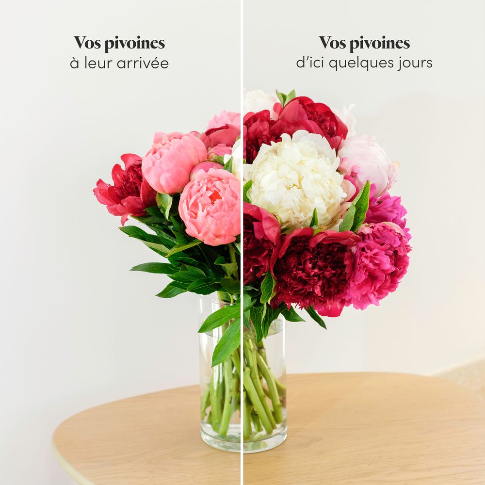 Brassée de pivoines | Interflora | Livraison fleurs de saison | Livraison  pivoine | Livraison en 24h