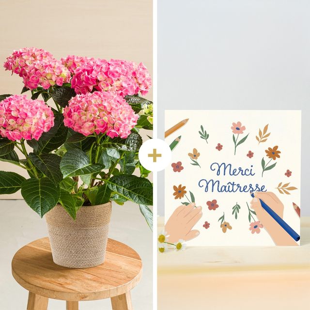 Hortensia et sa carte message merci
