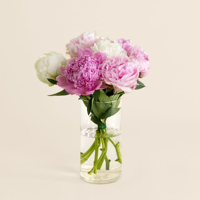 Petite brassée de pivoines variées