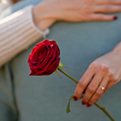 Choisir la rose parfaite pour la Saint Valentin