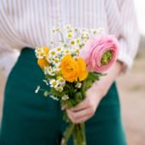 Les plus belles fleurs du printemps pour votre jardin ou vos bouquets
