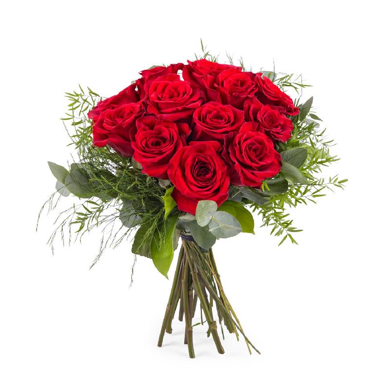 12 Short-stemmed Red Roses