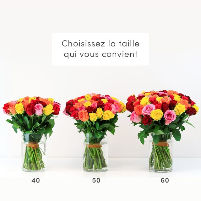 Roses multicolores & L'occitane en Provence
