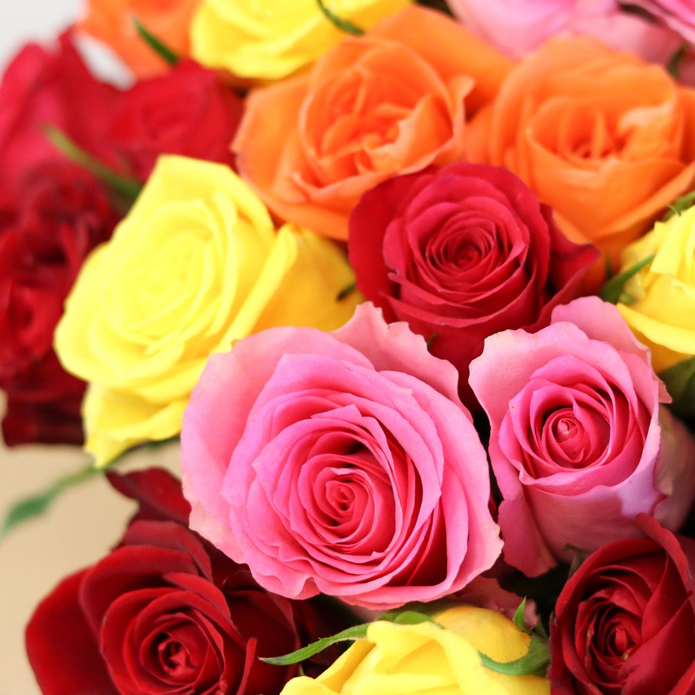 Brassée de roses multicolores