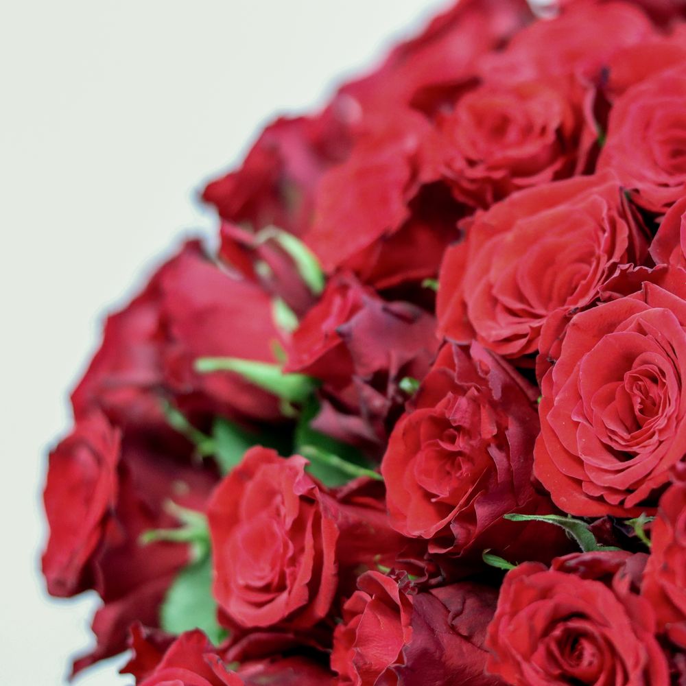 Brassées de 101 roses rouges Max Havelaar | Interflora | Livraison roses