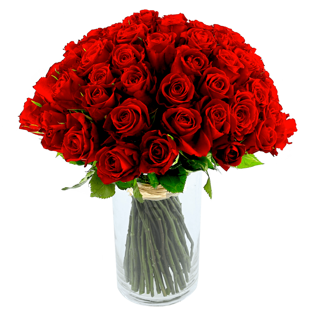 Brassée de 101 roses rouges Max Havelaar