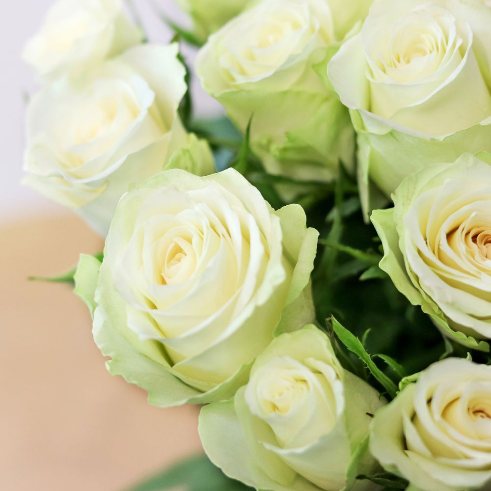 Brassée de roses blanches Max Havelaar | Interflora | Livraison roses