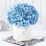 Blue Beauty Flower Box
