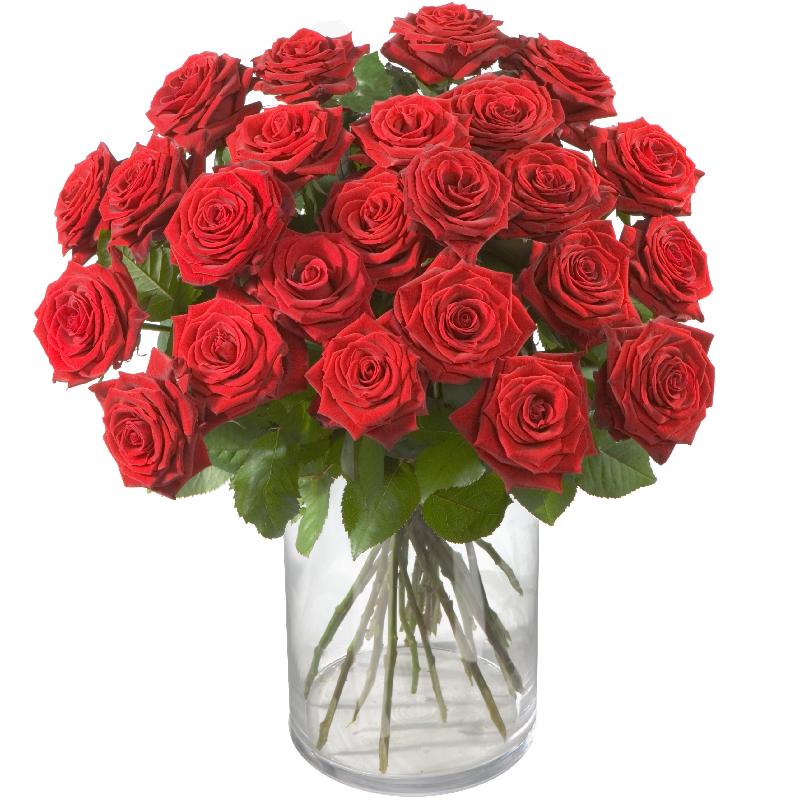 Bouquet of Red Roses "Classics"
