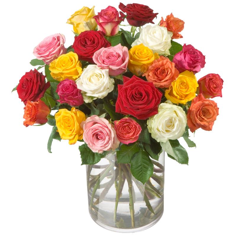 Bouquet of roses "Allure" (without vase)