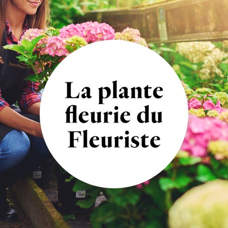 Trophée personnalisé Fête des mères Fleur en pot fabriqué en France