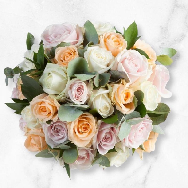 12 Pastel Roses Bunch