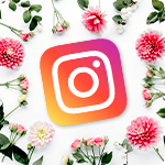 Interflora sur Instagram
