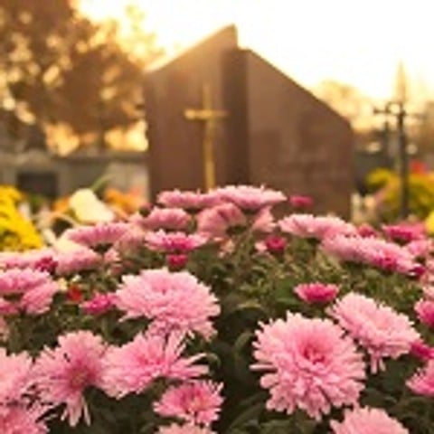 Comment entretenir les fleurs sur la tombe ?