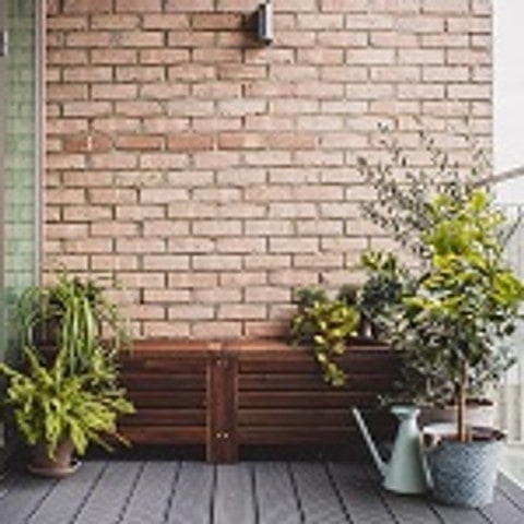 Quelles plantes en pot choisir pour votre terrasse ou votre balcon ?